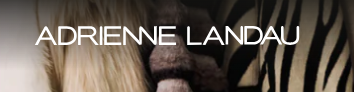 Adrienne Landau Voucher Code