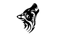 Silver Fox Collectibles Voucher Code
