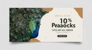 Peacocks 10% Off all order